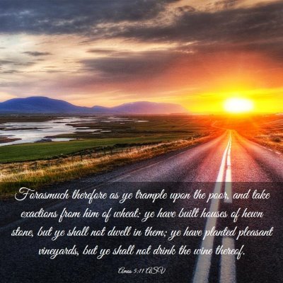 Picture 03 - Amos 5:11 ASV - Forasmuch therefore as ye trample upon the poor, - Bible Verse Picture