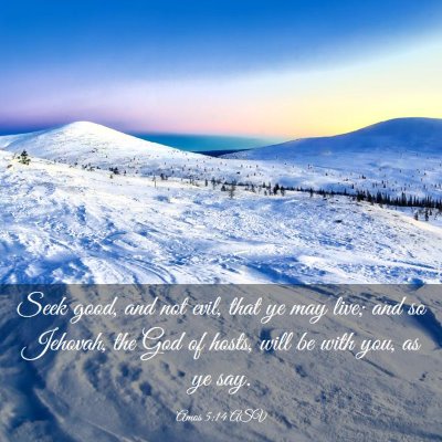 Picture 03 - Amos 5:14 ASV - Seek good, and not evil, that ye may live; and so - Bible Verse Picture