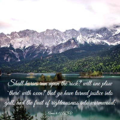 Picture 03 - Amos 6:12 ASV - Shall horses run upon the rock? will one plow - Bible Verse Picture