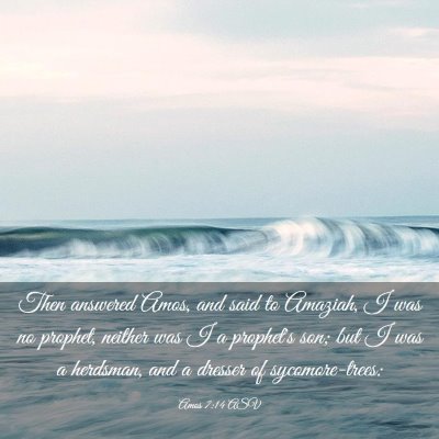 Picture 03 - Amos 7:14 ASV - Then answered Amos, and said to Amaziah, I was no - Bible Verse Picture