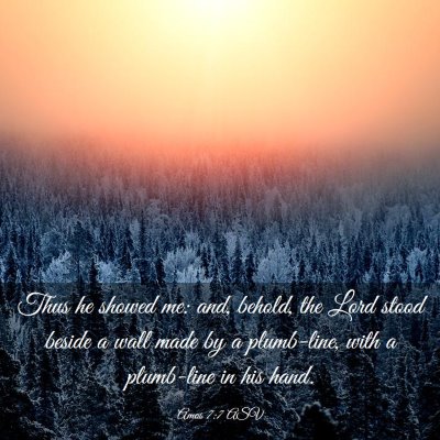 Picture 03 - Amos 7:7 ASV - Thus he showed me: and, behold, the Lord stood - Bible Verse Picture