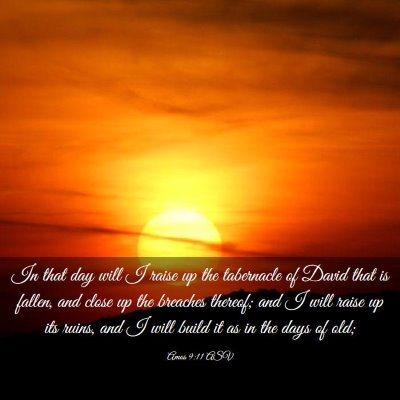 Picture 03 - Amos 9:11 ASV - In that day will I raise up the tabernacle of - Bible Verse Picture