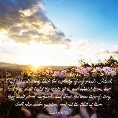 Picture 03 - Amos 9:14 ASV - And I will bring back the captivity of my people - Bible Verse Picture