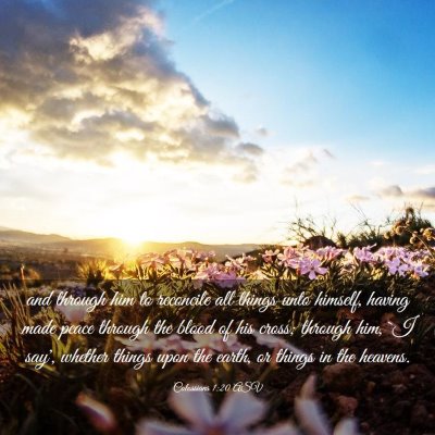 Picture 03 - Colossians 1:20 ASV - and through him to reconcile all things unto - Bible Verse Picture
