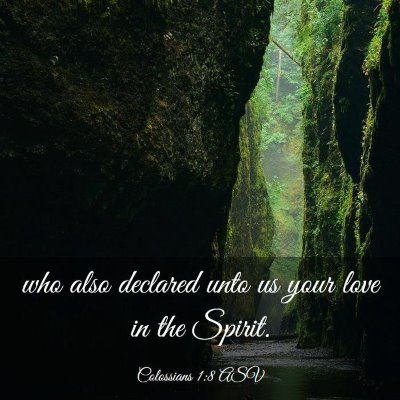 Picture 03 - Colossians 1:8 ASV - who also declared unto us your love in the - Bible Verse Picture