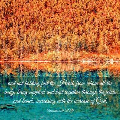 Picture 03 - Colossians 2:19 ASV - and not holding fast the Head, from whom all the - Bible Verse Picture