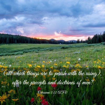 Picture 03 - Colossians 2:22 ASV - (all which things are to perish with the using), - Bible Verse Picture