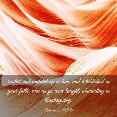 Picture 03 - Colossians 2:7 ASV - rooted and builded up in him, and established in - Bible Verse Picture