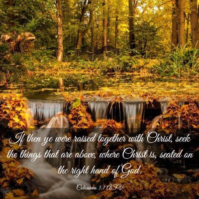 Picture 03 - Colossians 3:1 ASV - If then ye were raised together with Christ, seek - Bible Verse Picture