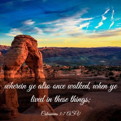 Picture 03 - Colossians 3:7 ASV - wherein ye also once walked, when ye lived in - Bible Verse Picture