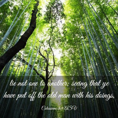 Picture 03 - Colossians 3:9 ASV - lie not one to another; seeing that ye have put - Bible Verse Picture
