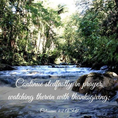 Picture 03 - Colossians 4:2 ASV - Continue stedfastly in prayer, watching therein - Bible Verse Picture