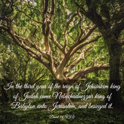 Picture 03 - Daniel 1:1 ASV - In the third year of the reign of Jehoiakim king - Bible Verse Picture