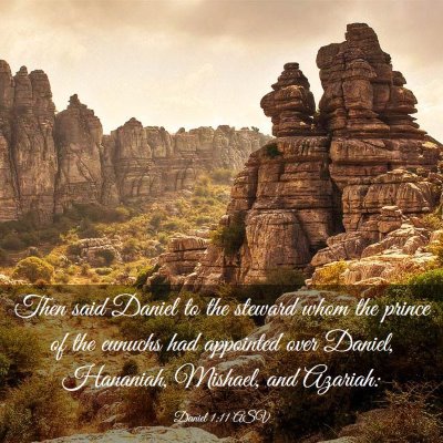 Picture 03 - Daniel 1:11 ASV - Then said Daniel to the steward whom the prince - Bible Verse Picture