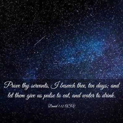 Picture 03 - Daniel 1:12 ASV - Prove thy servants, I beseech thee, ten days; and - Bible Verse Picture