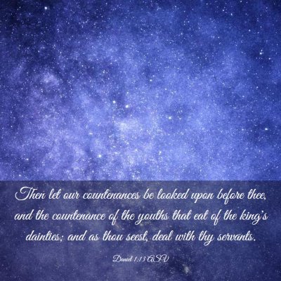 Picture 03 - Daniel 1:13 ASV - Then let our countenances be looked upon before - Bible Verse Picture