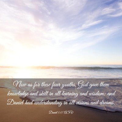 Picture 03 - Daniel 1:17 ASV - Now as for these four youths, God gave them - Bible Verse Picture