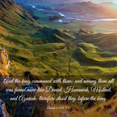 Picture 03 - Daniel 1:19 ASV - And the king communed with them; and among them - Bible Verse Picture