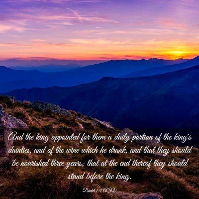 Picture 03 - Daniel 1:5 ASV - And the king appointed for them a daily portion - Bible Verse Picture