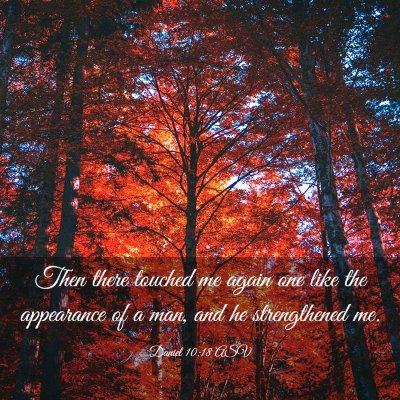 Picture 03 - Daniel 10:18 ASV - Then there touched me again one like the - Bible Verse Picture