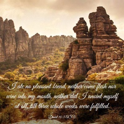 Picture 03 - Daniel 10:3 ASV - I ate no pleasant bread, neither came flesh nor - Bible Verse Picture
