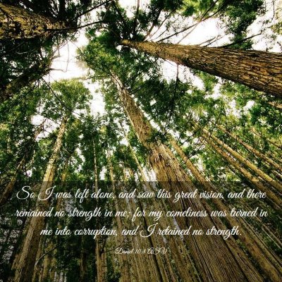 Picture 03 - Daniel 10:8 ASV - So I was left alone, and saw this great vision, - Bible Verse Picture