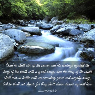 Picture 03 - Daniel 11:25 ASV - And he shall stir up his power and his courage - Bible Verse Picture