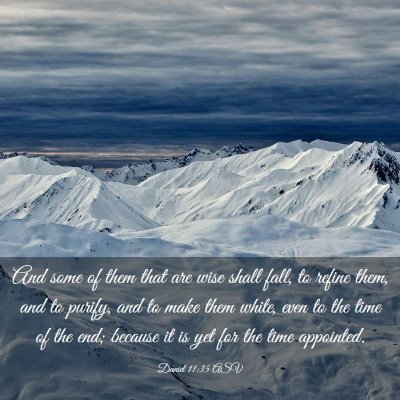 Picture 03 - Daniel 11:35 ASV - And some of them that are wise shall fall, to - Bible Verse Picture