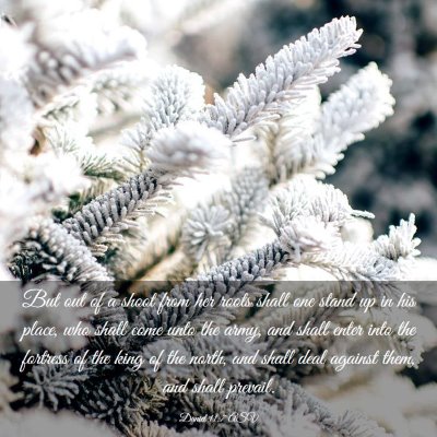 Picture 03 - Daniel 11:7 ASV - But out of a shoot from her roots shall one stand - Bible Verse Picture