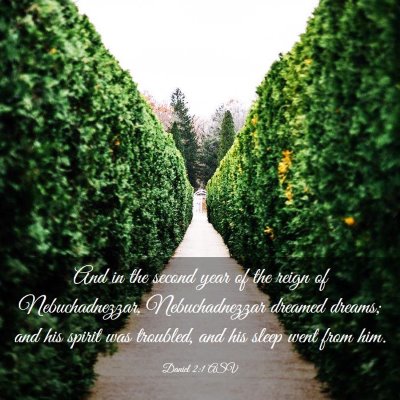 Picture 03 - Daniel 2:1 ASV - And in the second year of the reign of - Bible Verse Picture