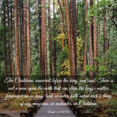 Picture 03 - Daniel 2:10 ASV - The Chaldeans answered before the king, and said, - Bible Verse Picture