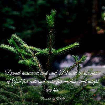 Picture 03 - Daniel 2:20 ASV - Daniel answered and said, Blessed be the name of - Bible Verse Picture