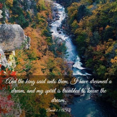 Picture 03 - Daniel 2:3 ASV - And the king said unto them, I have dreamed a - Bible Verse Picture
