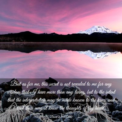Picture 03 - Daniel 2:30 ASV - But as for me, this secret is not revealed to me - Bible Verse Picture