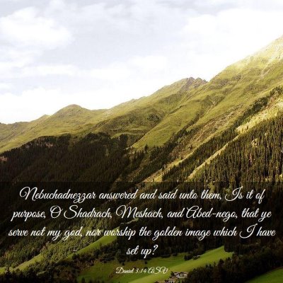 Picture 03 - Daniel 3:14 ASV - Nebuchadnezzar answered and said unto them, Is it - Bible Verse Picture