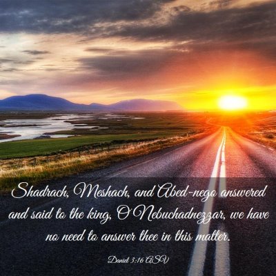 Picture 03 - Daniel 3:16 ASV - Shadrach, Meshach, and Abed-nego answered and - Bible Verse Picture