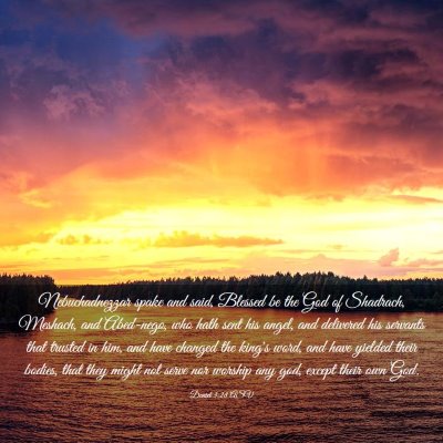 Picture 03 - Daniel 3:28 ASV - Nebuchadnezzar spake and said, Blessed be the God - Bible Verse Picture