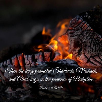 Picture 03 - Daniel 3:30 ASV - Then the king promoted Shadrach, Meshach, and - Bible Verse Picture