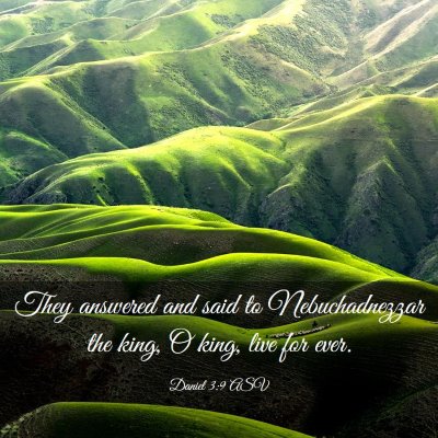 Picture 03 - Daniel 3:9 ASV - They answered and said to Nebuchadnezzar the - Bible Verse Picture