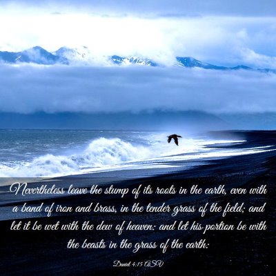 Picture 03 - Daniel 4:15 ASV - Nevertheless leave the stump of its roots in the - Bible Verse Picture