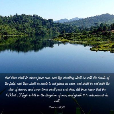 Picture 03 - Daniel 4:25 ASV - that thou shalt be driven from men, and thy - Bible Verse Picture