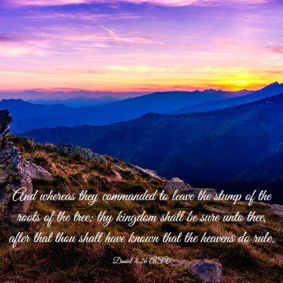 Picture 03 - Daniel 4:26 ASV - And whereas they commanded to leave the stump of - Bible Verse Picture