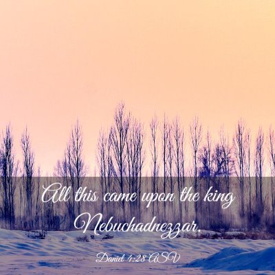 Picture 03 - Daniel 4:28 ASV - All this came upon the king - Bible Verse Picture
