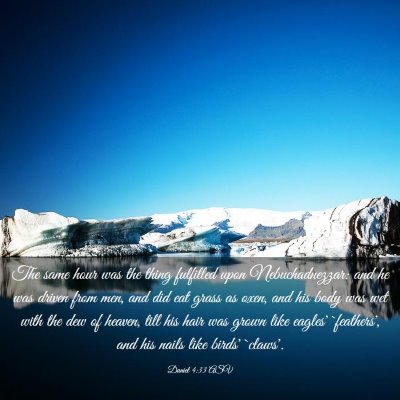 Picture 03 - Daniel 4:33 ASV - The same hour was the thing fulfilled upon - Bible Verse Picture