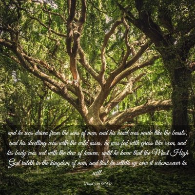 Picture 03 - Daniel 5:21 ASV - and he was driven from the sons of men, and his - Bible Verse Picture