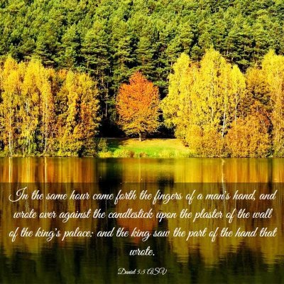 Picture 03 - Daniel 5:5 ASV - In the same hour came forth the fingers of a - Bible Verse Picture