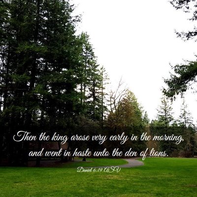 Picture 03 - Daniel 6:19 ASV - Then the king arose very early in the morning, - Bible Verse Picture