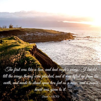 Picture 03 - Daniel 7:4 ASV - The first was like a lion, and had eagle's wings: - Bible Verse Picture