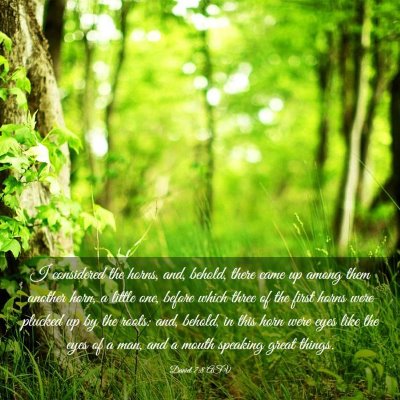 Picture 03 - Daniel 7:8 ASV - I considered the horns, and, behold, there came - Bible Verse Picture