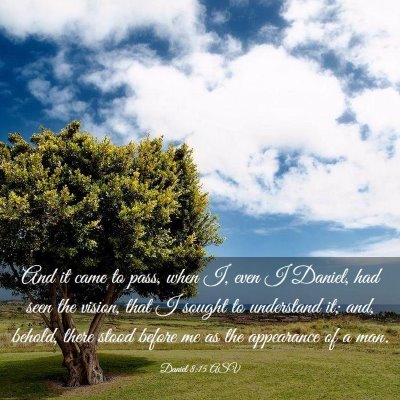 Picture 03 - Daniel 8:15 ASV - And it came to pass, when I, even I Daniel, had - Bible Verse Picture
